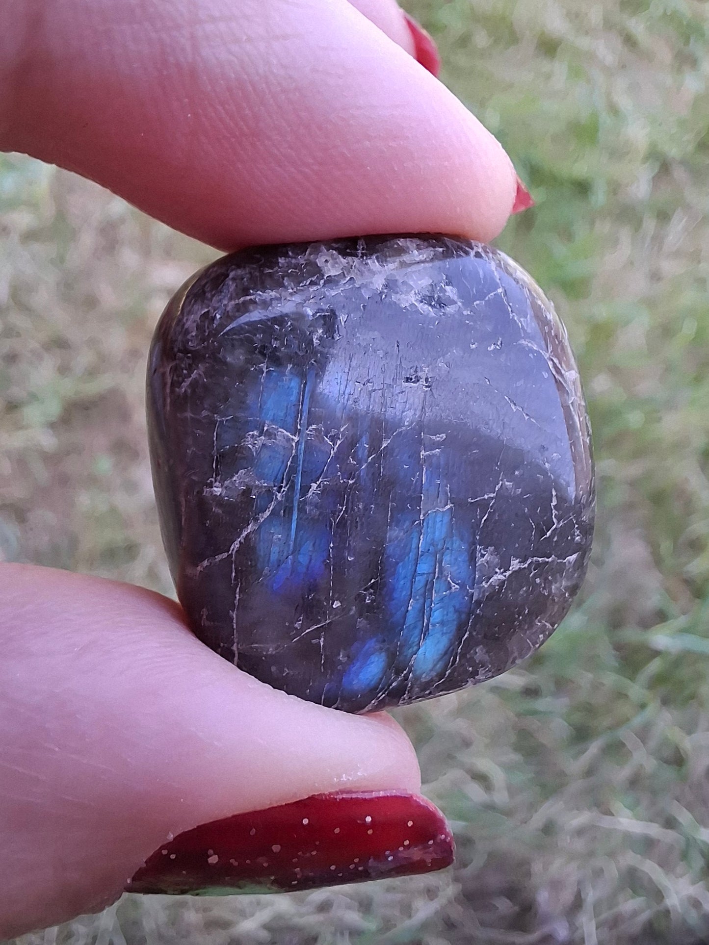 Labradorite, Tumble Stone, Crystal (Ref: T214)