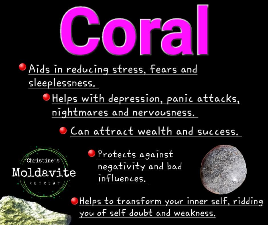 Fossil Coral, (Ref: FC1)