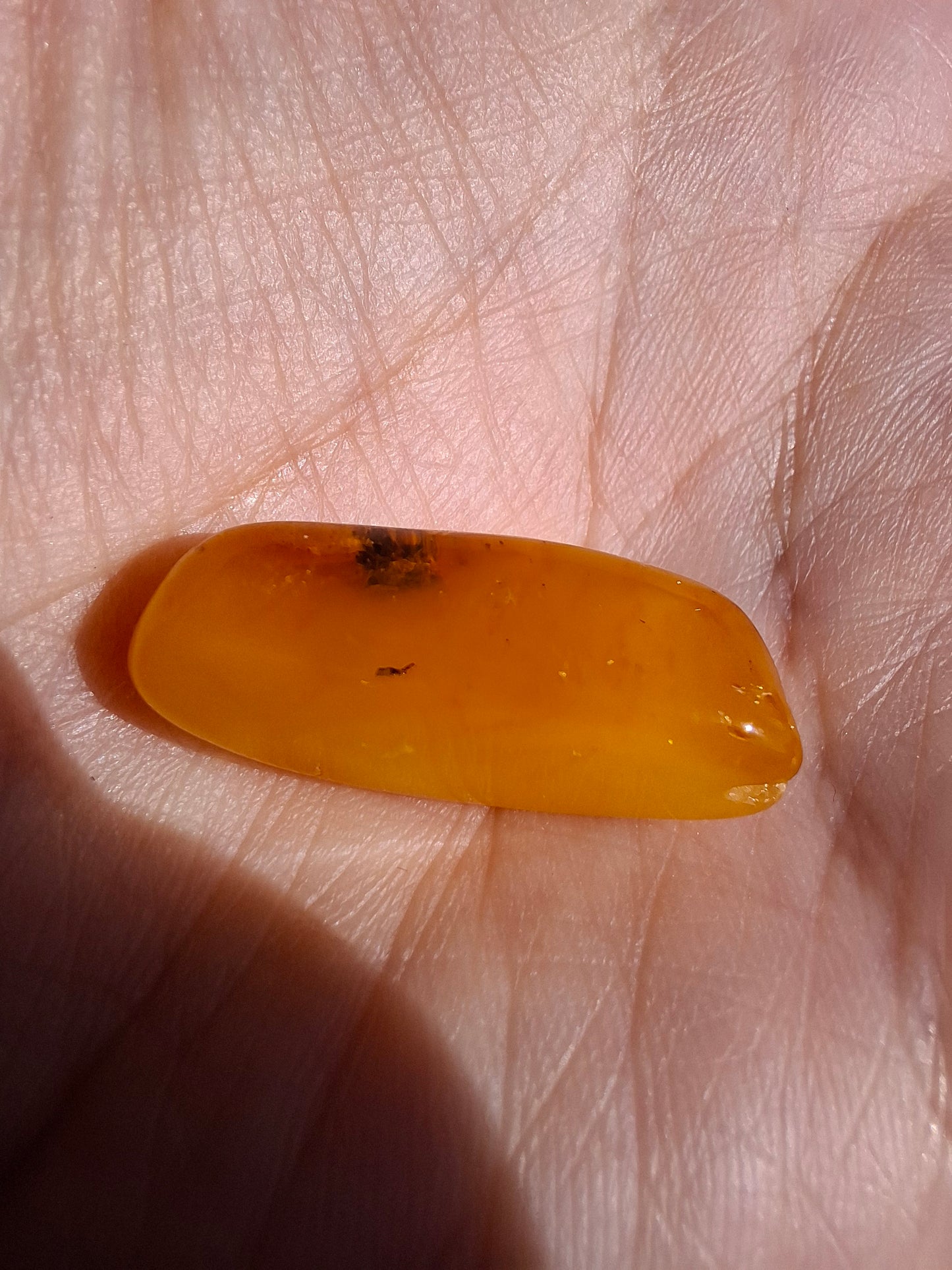 Baltic Amber, 1.74g, Fossil (Ref: A228)