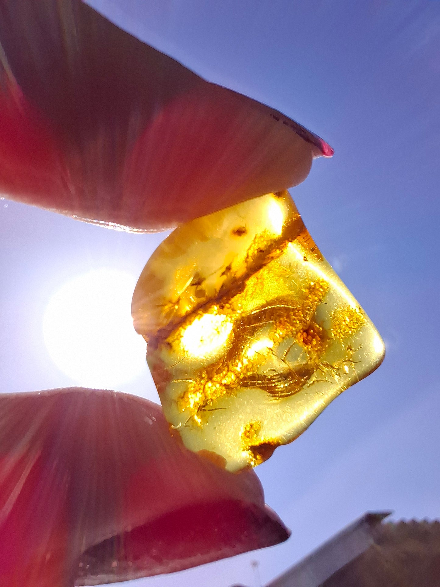 Baltic Amber, 1.51g, Fossil (Ref: A236)