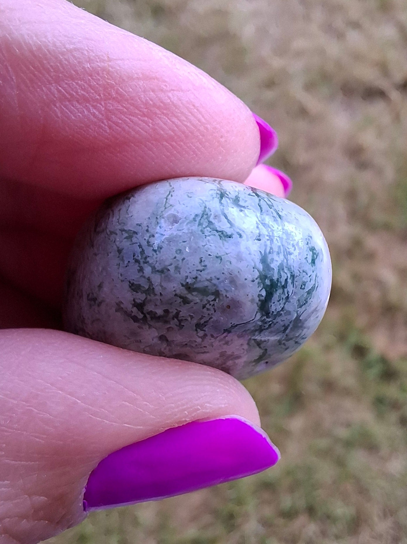 Tree Agate, Tumble Stone, Crystal (Ref: T7)