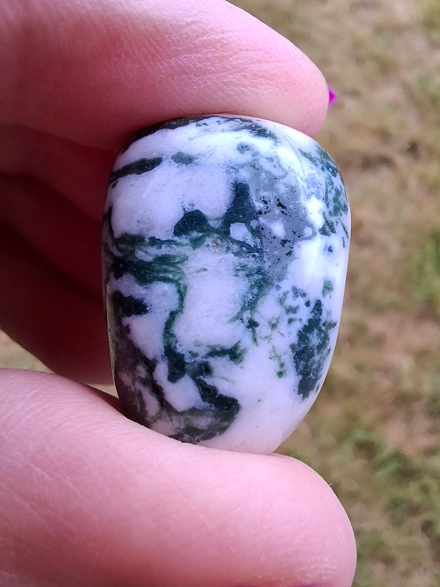 Tree Agate, Tumble Stone, Crystal (Ref: T5)