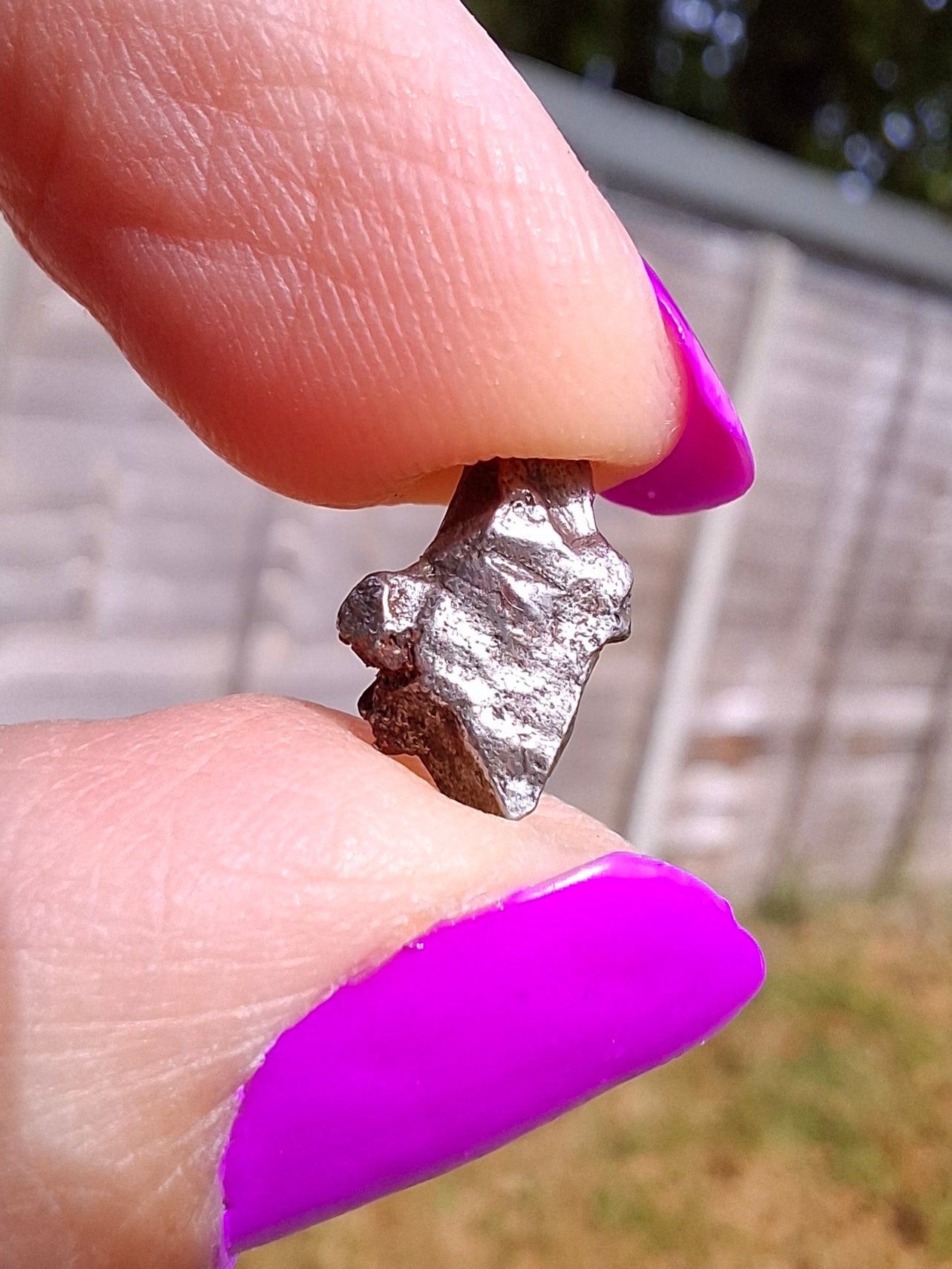 Campo del Cielo, 0.95g, Nickel Iron Meteorite (Ref: C2)