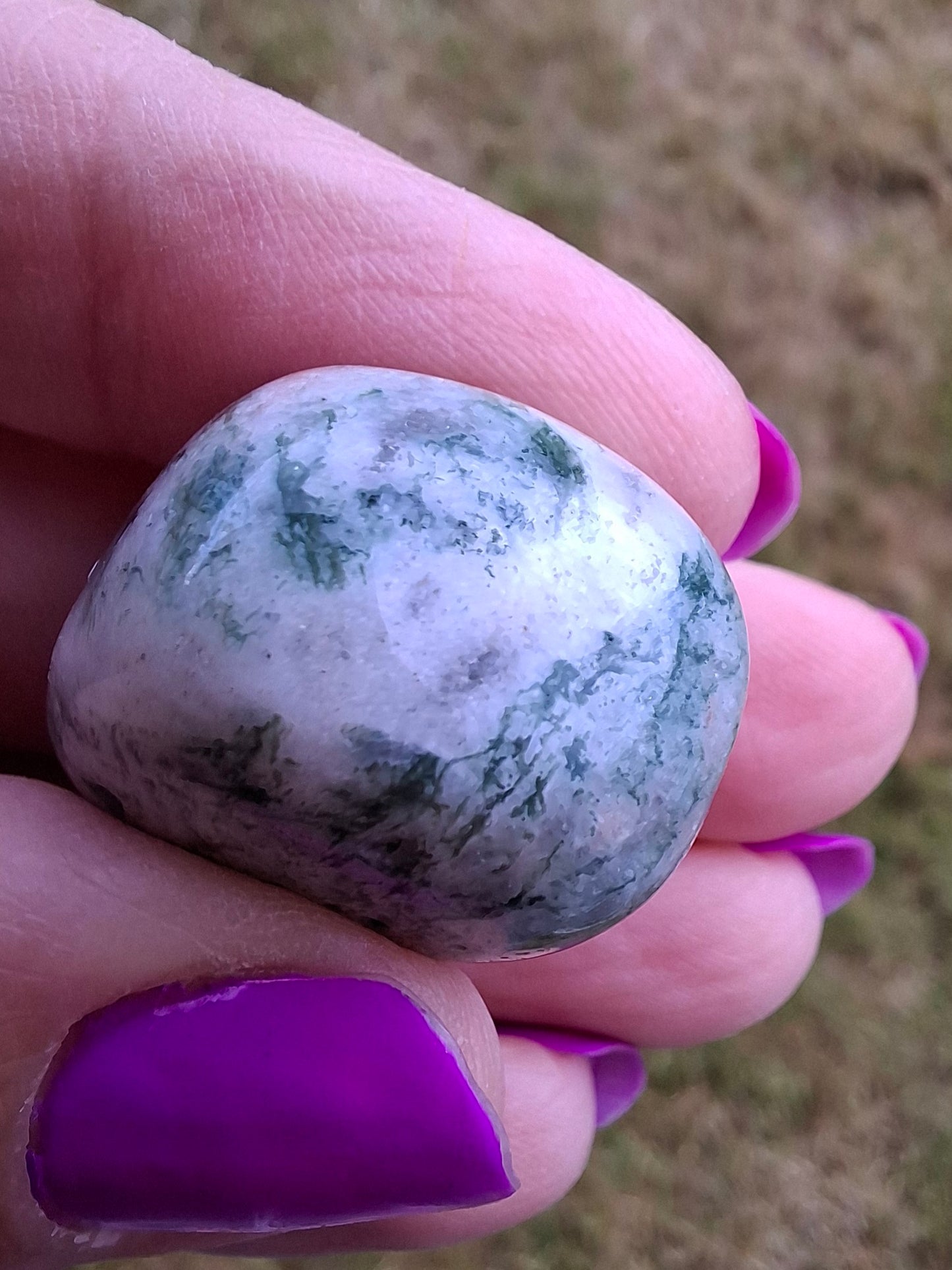 Tree Agate, Tumble Stone, Crystal (Ref: T7)
