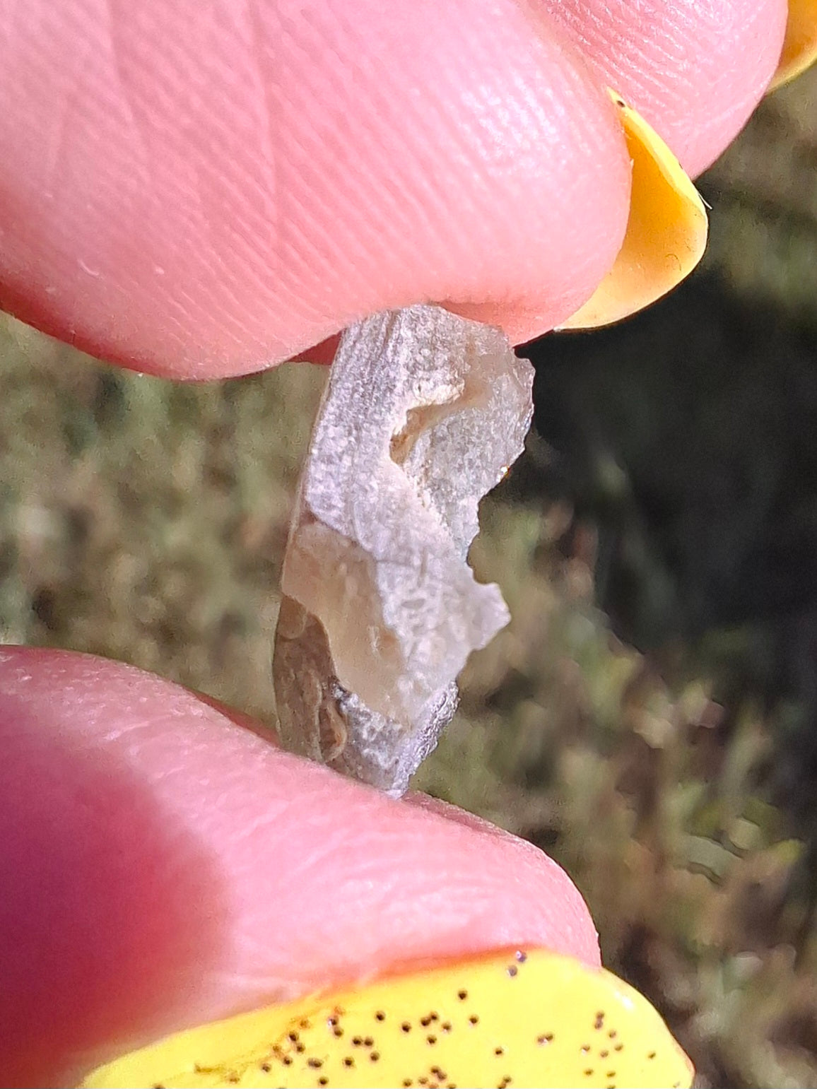 Moldavite Piece, 0.68g, Tektite (Ref: 1481)