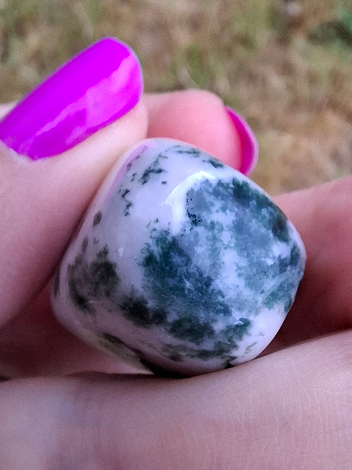 Tree Agate, Tumble Stone, Crystal (Ref: T1)