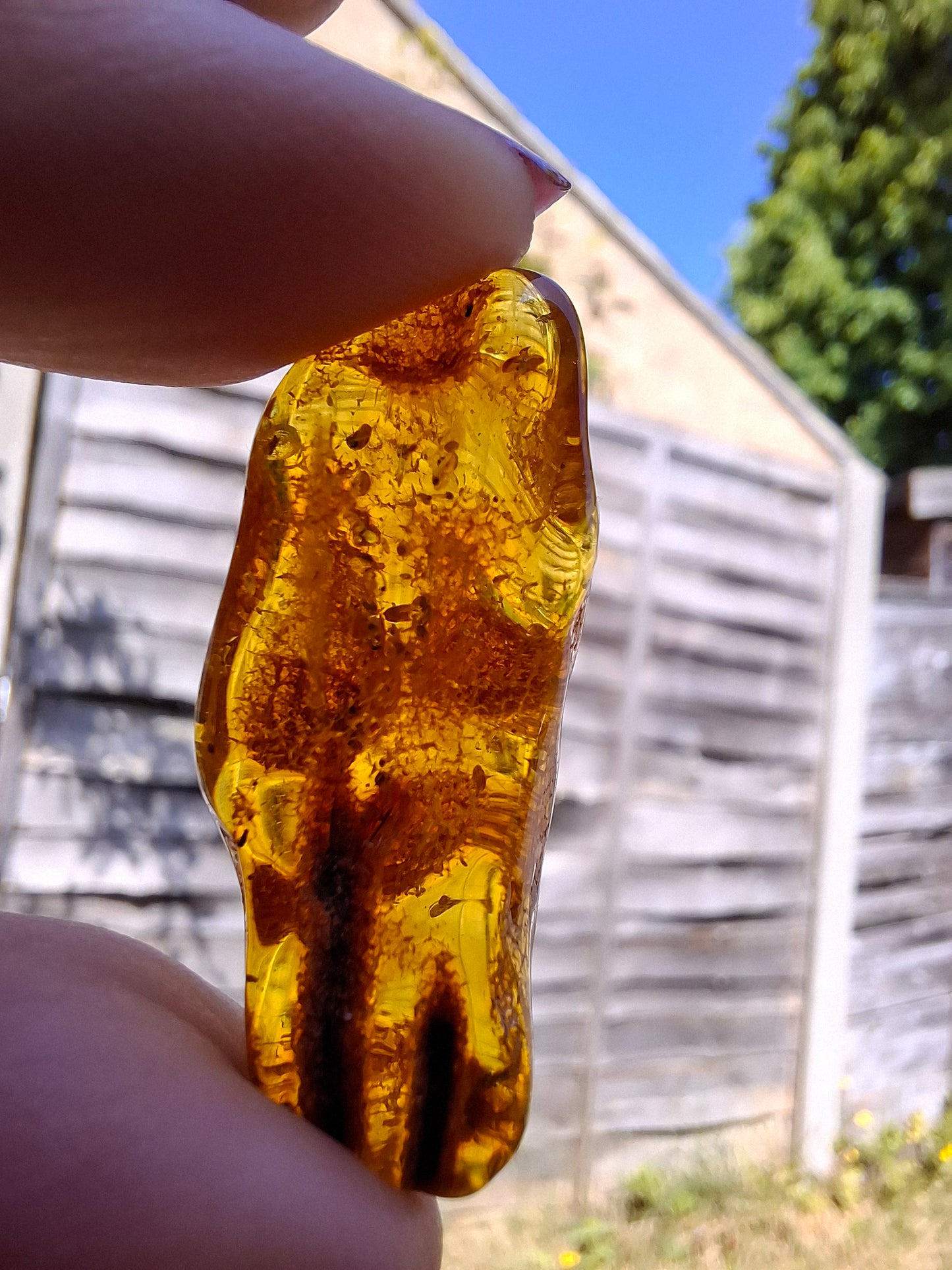 Baltic Amber, 2.95g, Fossil (Ref: A159)