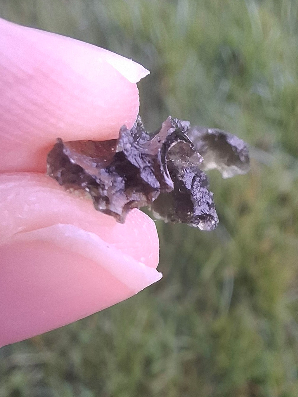Moldavite Piece, JEZKOVNA BESEDNICE, 1.61g, Tektite (Ref: 1274)