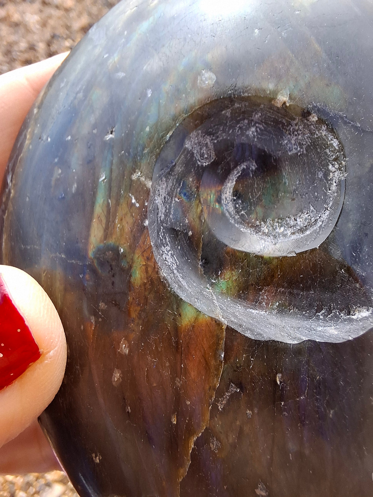 Labradorite Ammonite Carving, 160.21g, Crystal (Ref: laba4)