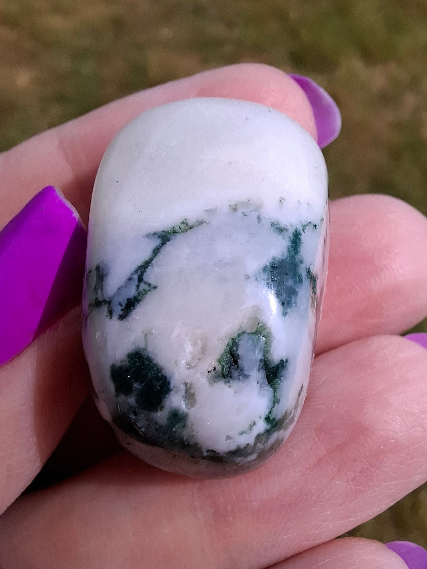 Tree Agate, Tumble Stone, Crystal (Ref: T1)