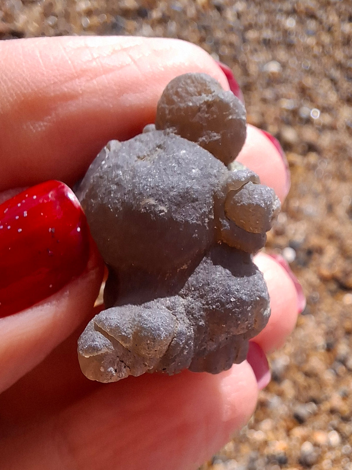 Nebula Chalcedony, 13.45g, Fossil (Ref: NC2)