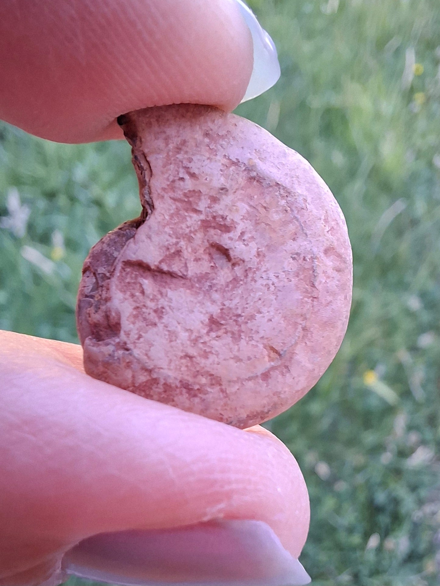 Small Haematite Ammonite HALF, 2.19g, Fossil (Ref: MA3)