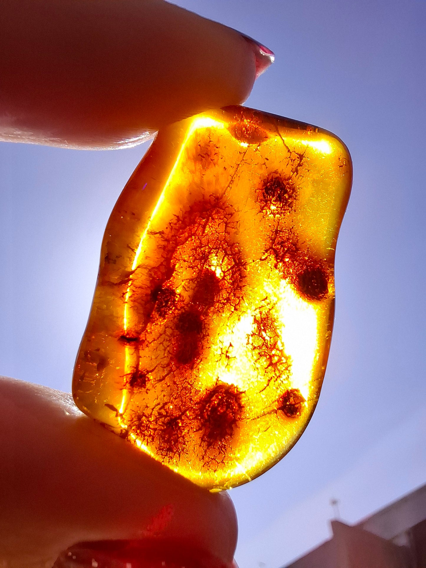 Baltic Amber, 4.50g, Fossil (Ref: A151)