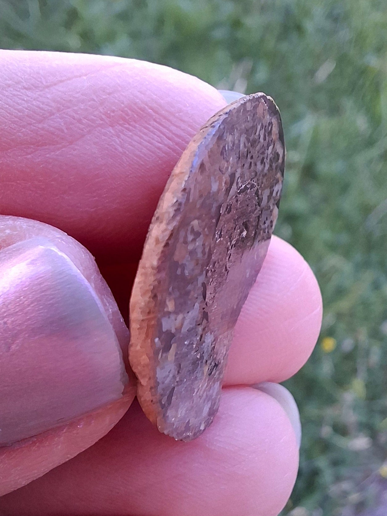 Small Haematite Ammonite HALF, 2.55g, Fossil (Ref: MA8)