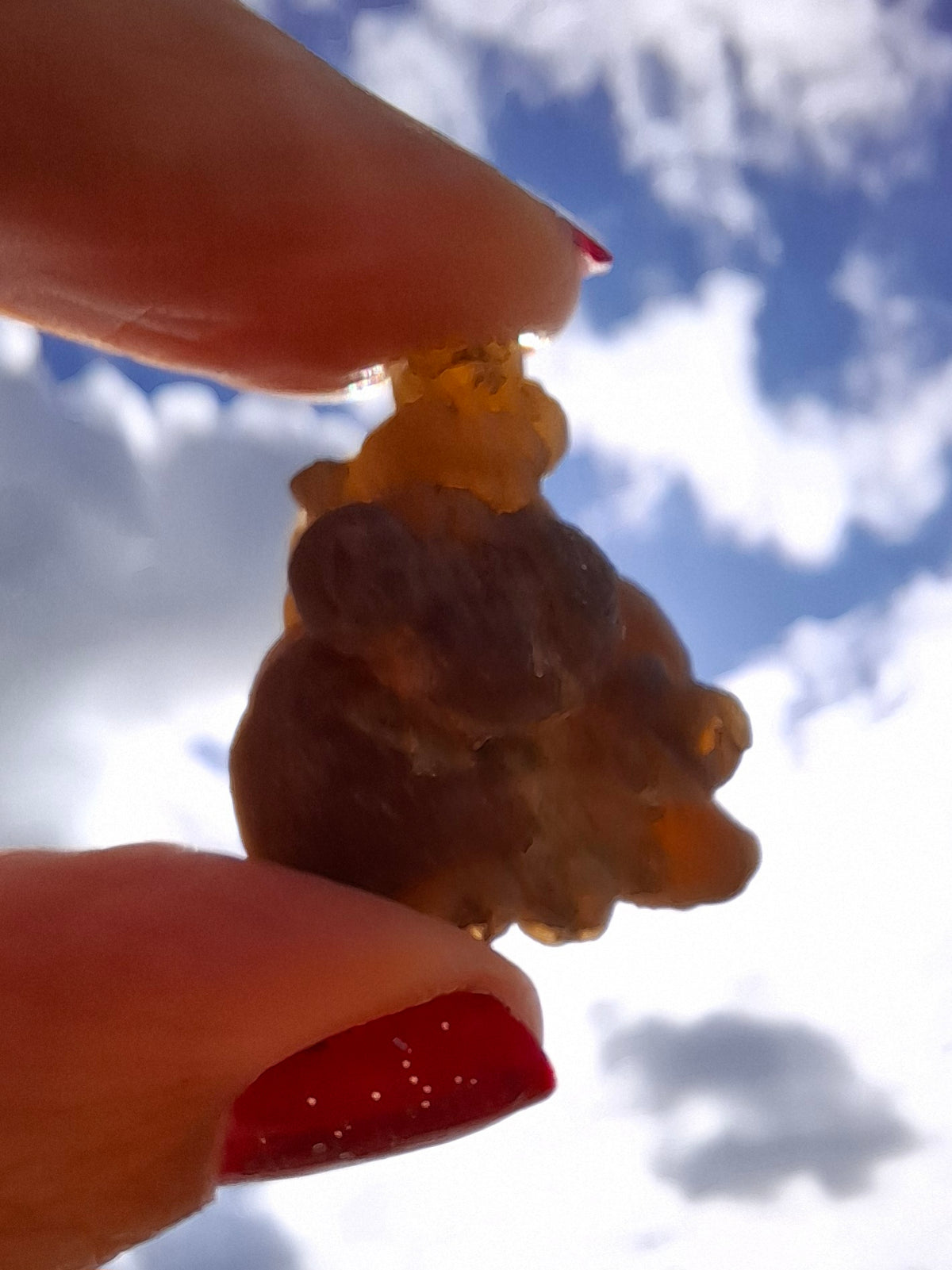 Nebula Chalcedony, 13.45g, Fossil (Ref: NC2)