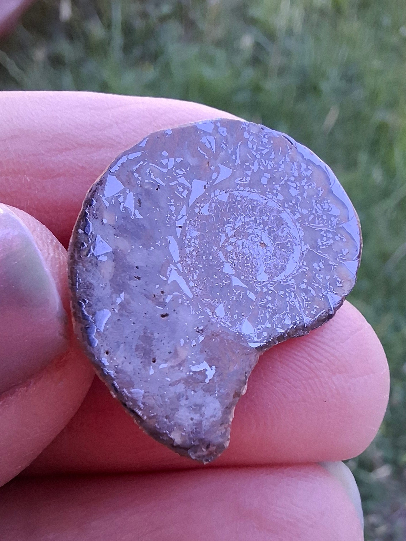 Small Haematite Ammonite HALF, 2.55g, Fossil (Ref: MA8)