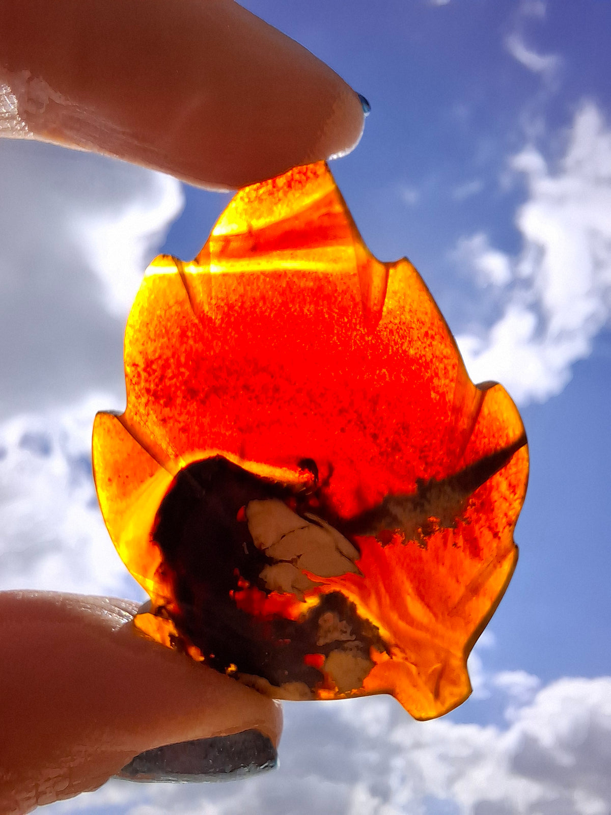 Red Amber Leaf Carving, 7.42g, Fossil (Ref: Leaf13)