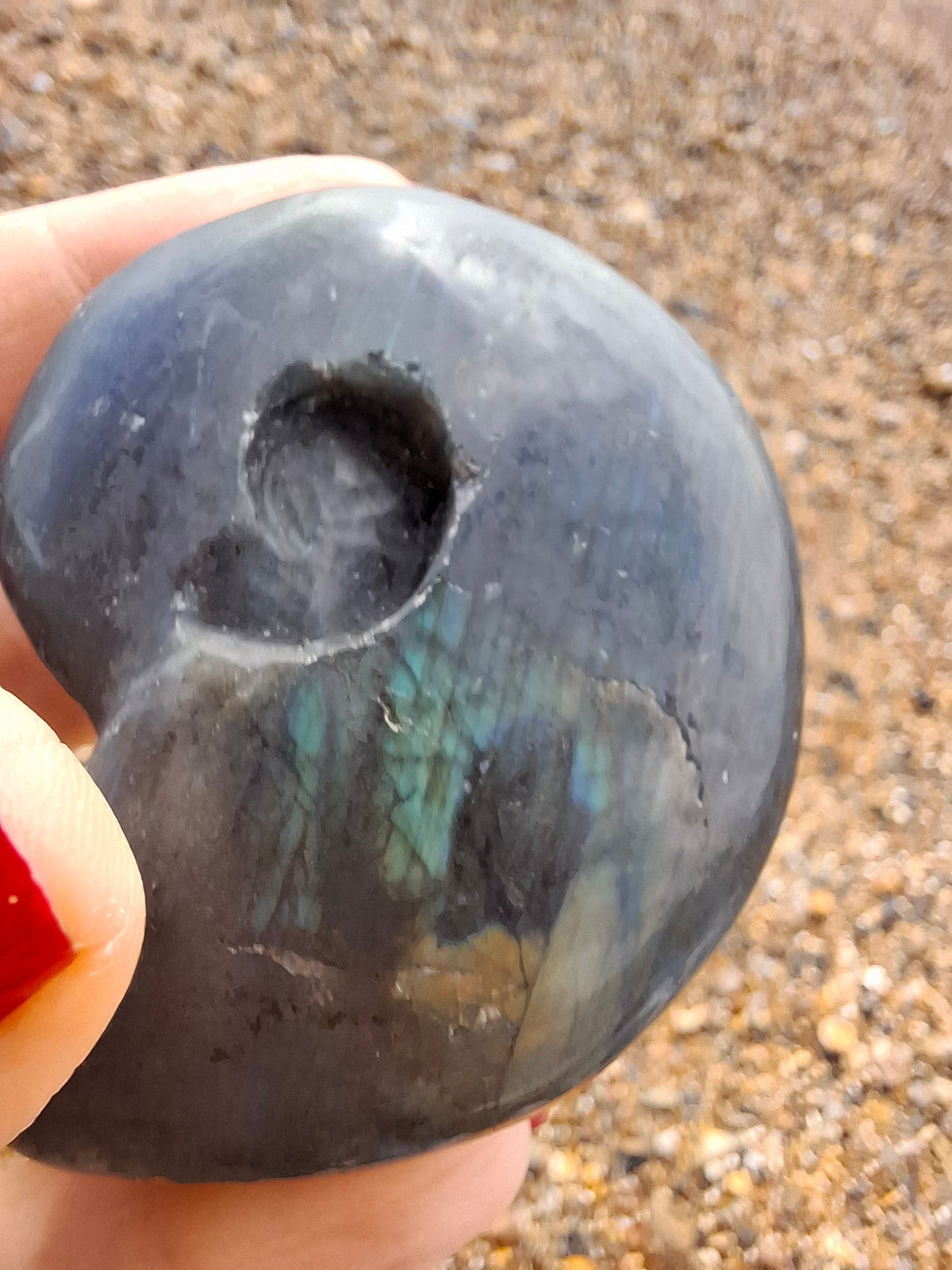 Labradorite Ammonite Carving, 111.66g, Crystal (Ref: laba3)