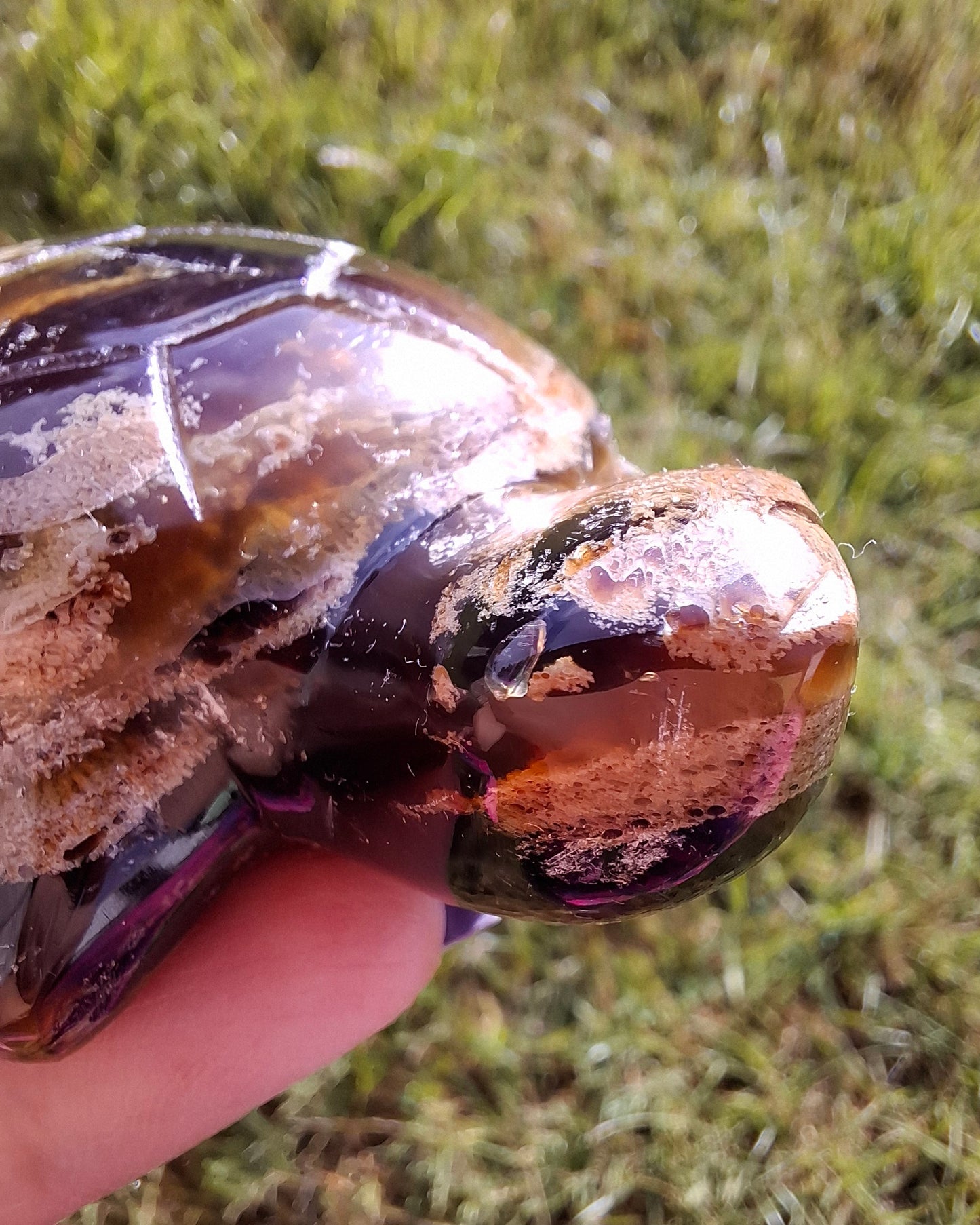Red Amber Turtle, 56.87g, Carving, Fossil (Ref:TT7)