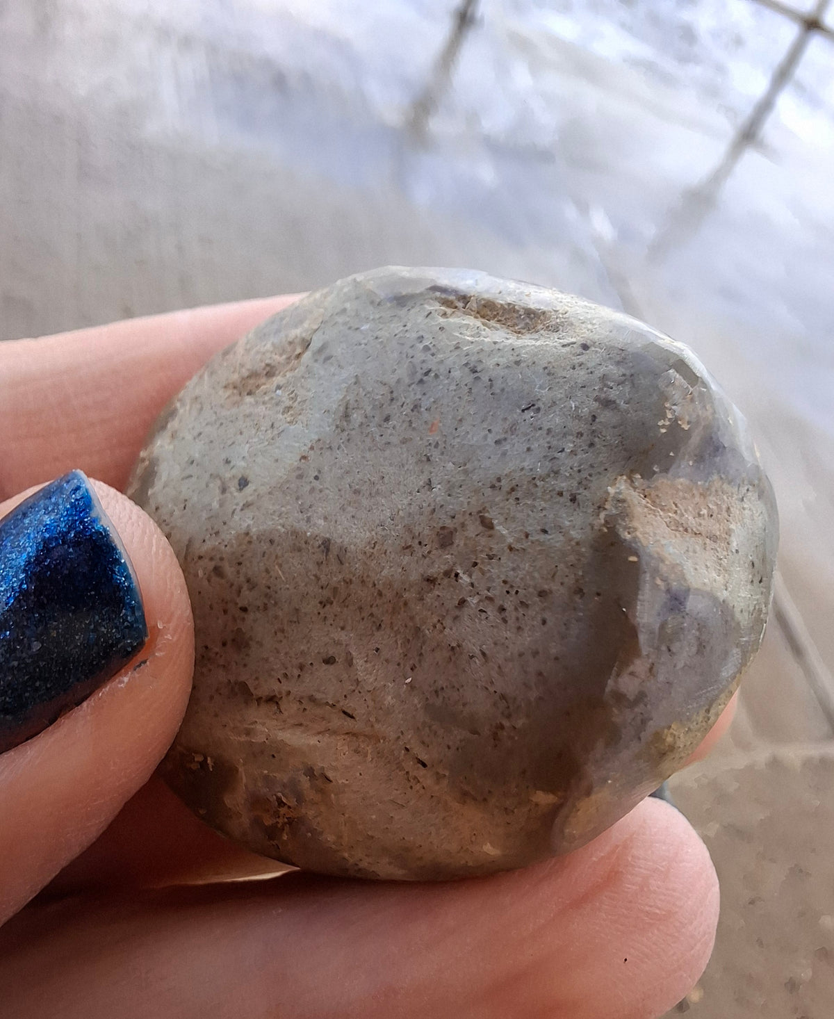 Polished Sea Urchin, Fossil (Ref: SU5)