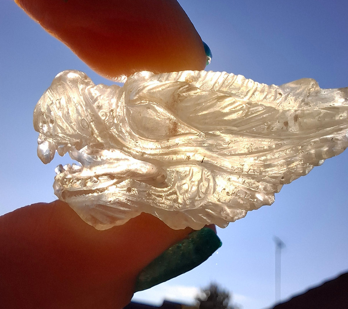 Libyan Desert Glass DRAGON HEAD carving, 9.66g, Tektite (Ref: Dragon 3)
