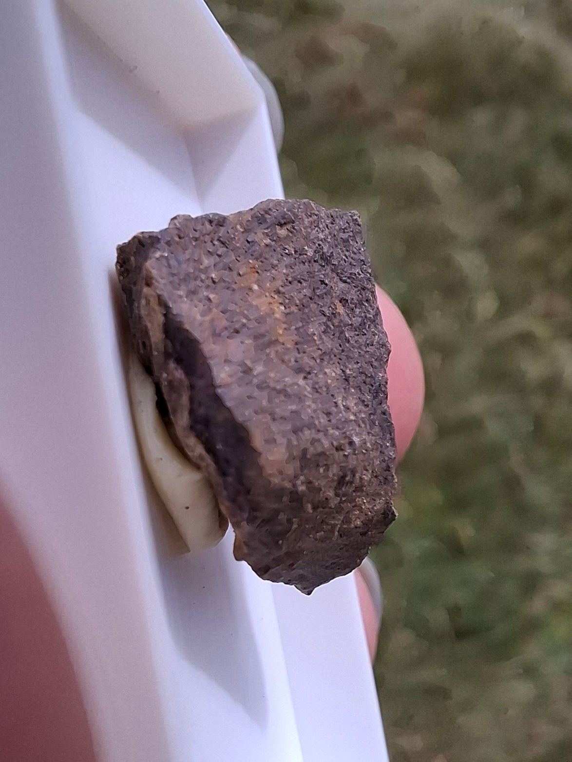 Chondrite, Meteorite (Ref: CM8)