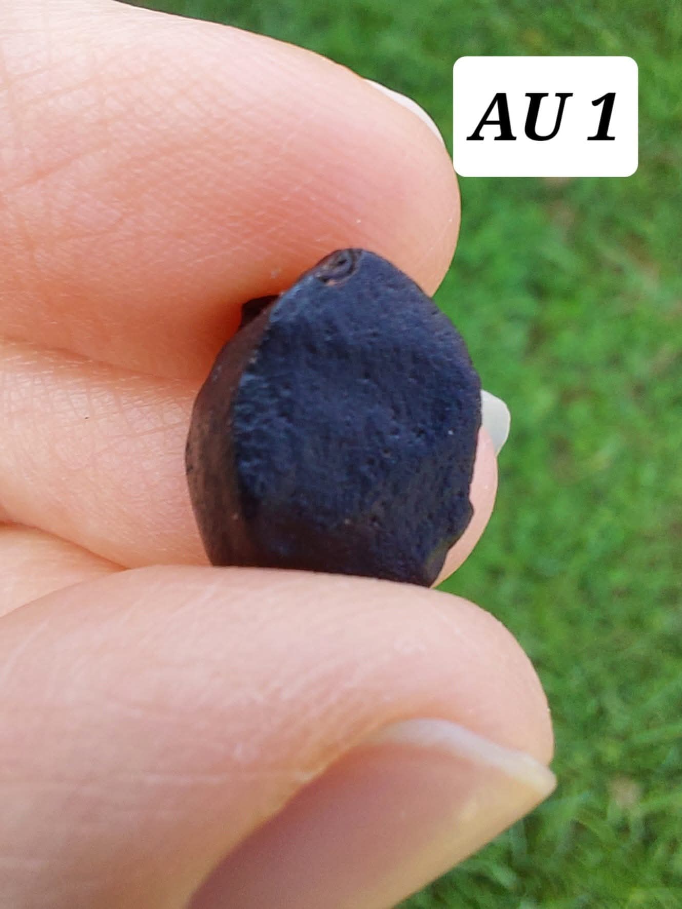 Australite, 1.54g, Tektite (Ref: AU1)