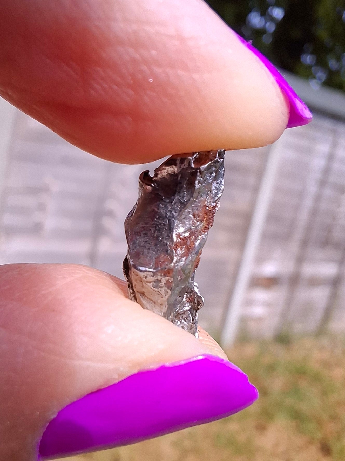 Campo del Cielo, 0.99g, Nickel Iron Meteorite (Ref: C8)