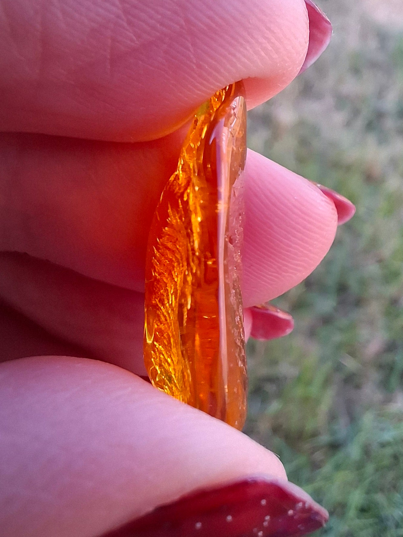 Baltic Amber, 1.11g, Fossil (Ref: A255)