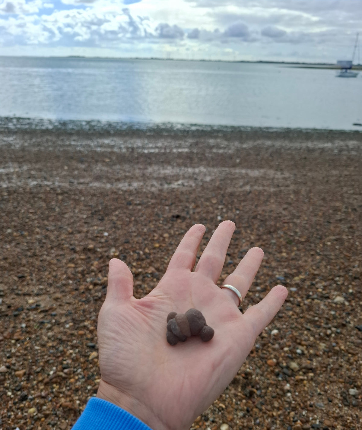 Nebula Chalcedony, 13.55g, Fossil (Ref: NC8)