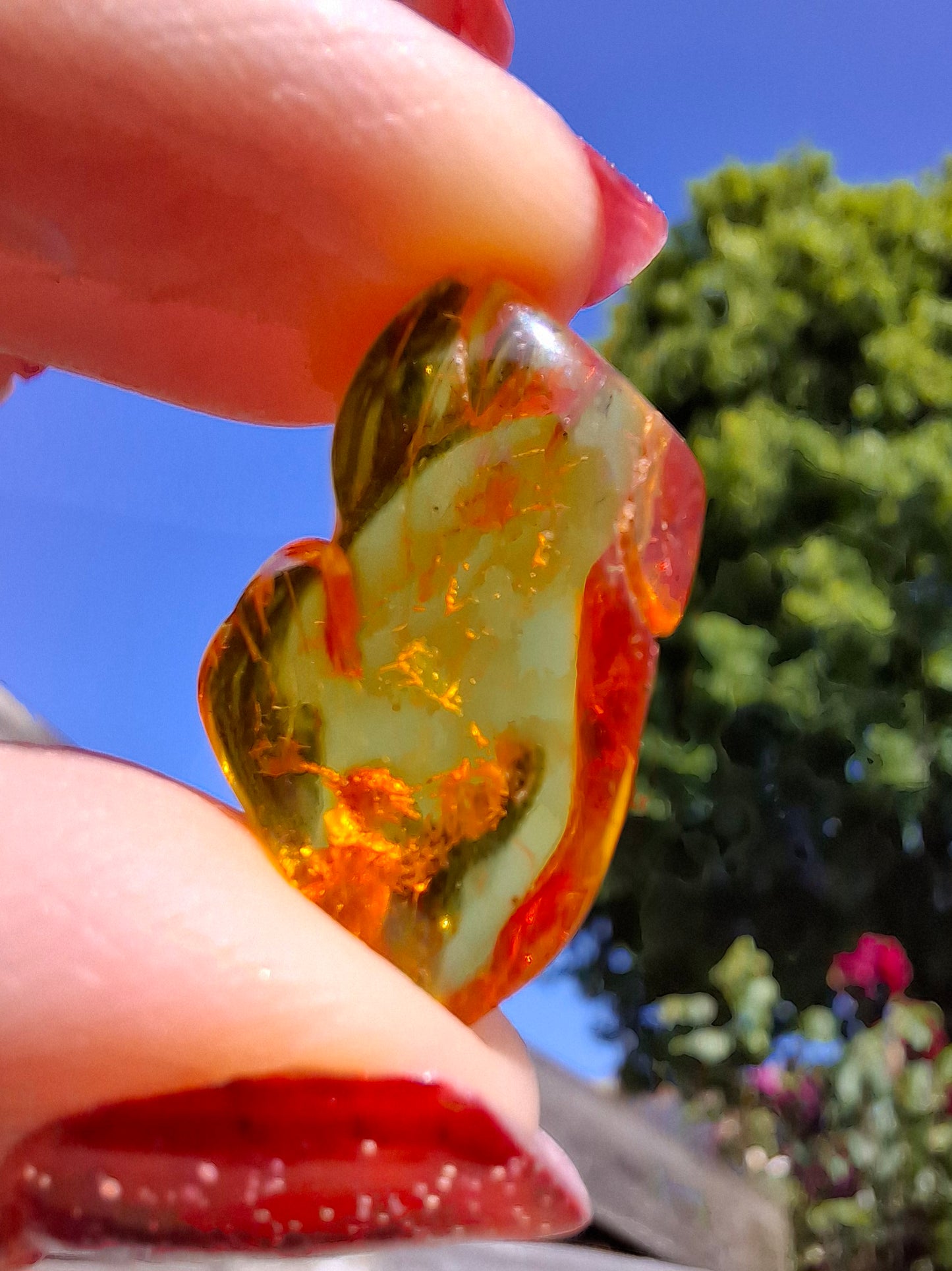 Baltic Amber, 1.31g, Fossil (Ref: A234)
