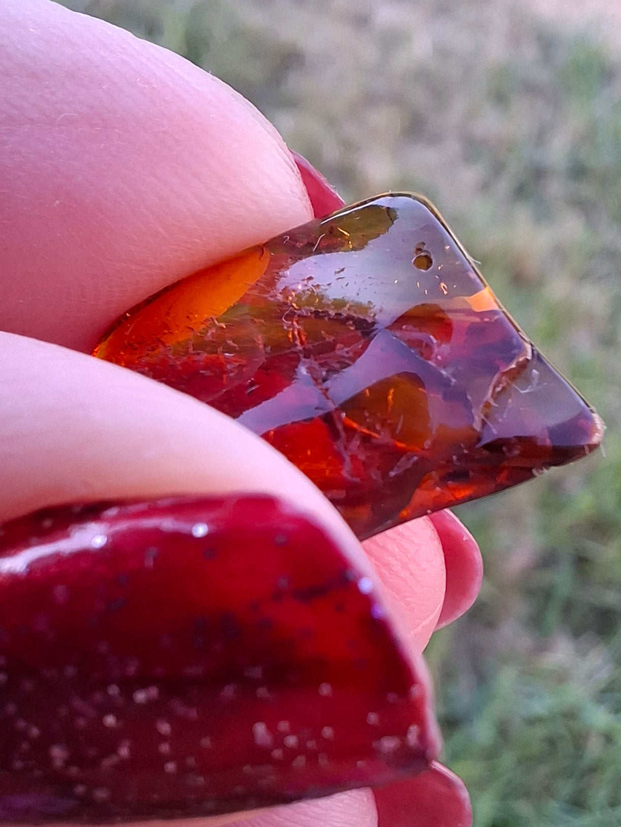 Baltic Amber, 0.94g, Fossil (Ref: A256)