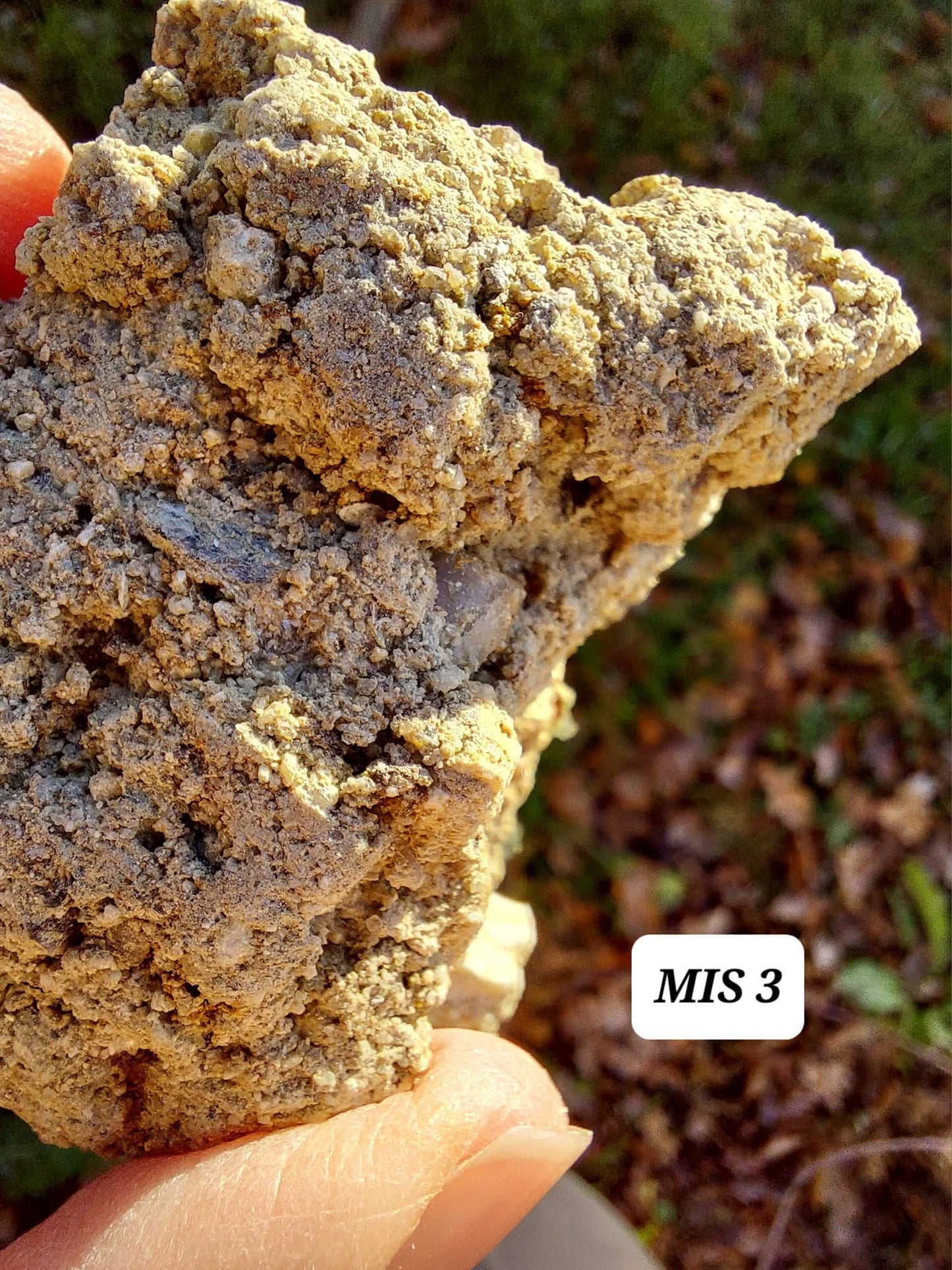 Moldavite In-Situ (in matrix), Besednice, Est- 3g, Tektite (Ref: MIS3)