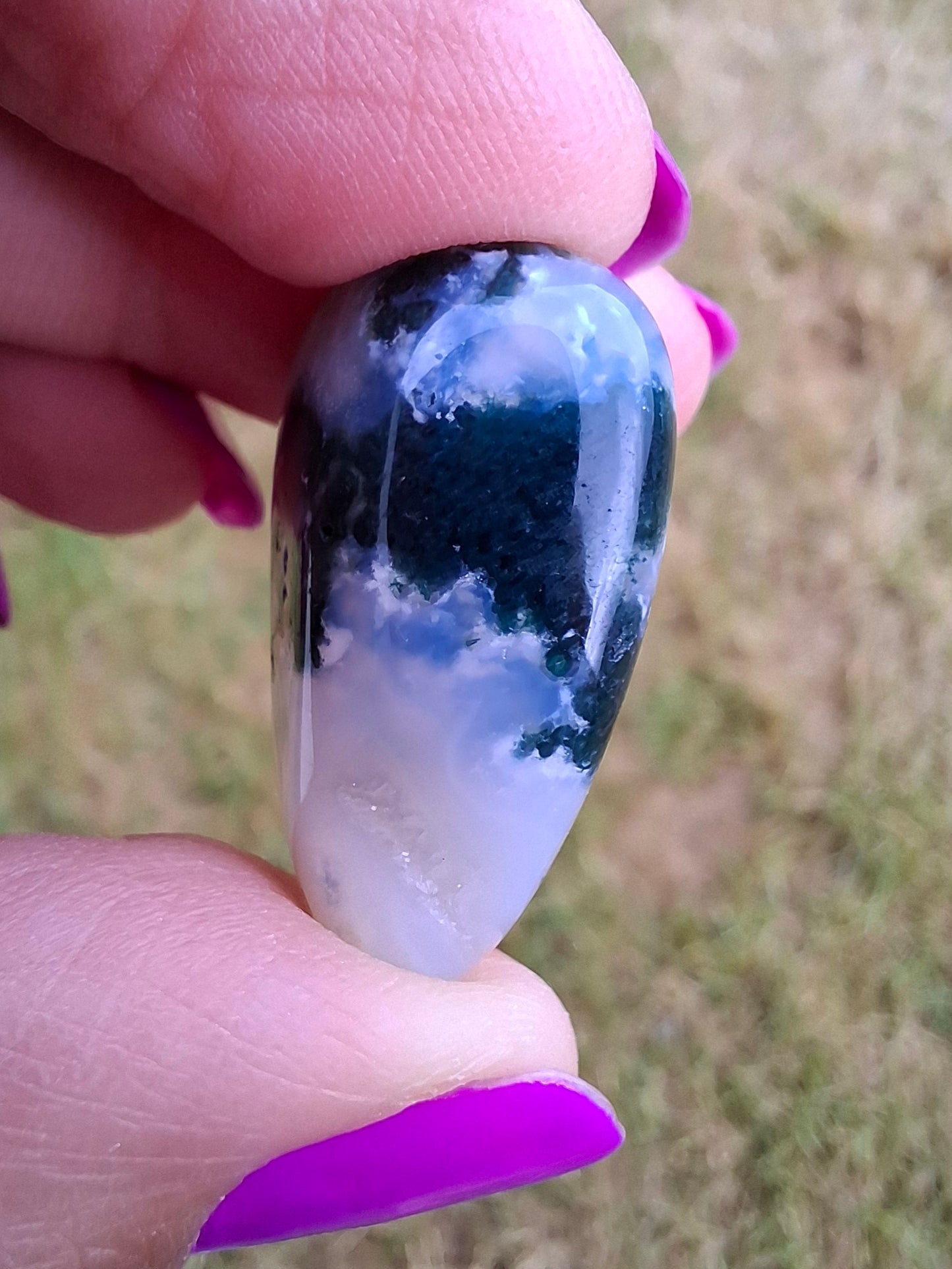 Tree Agate, Tumble Stone, Crystal (Ref: T2)