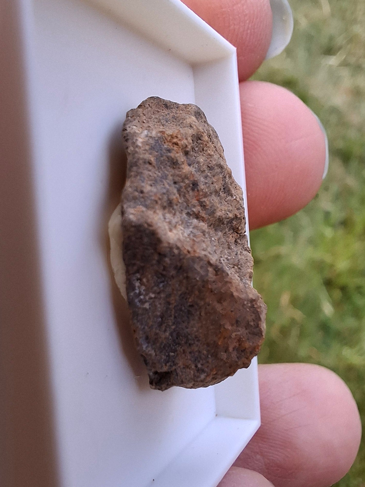 Chondrite, Meteorite (Ref: CM7)