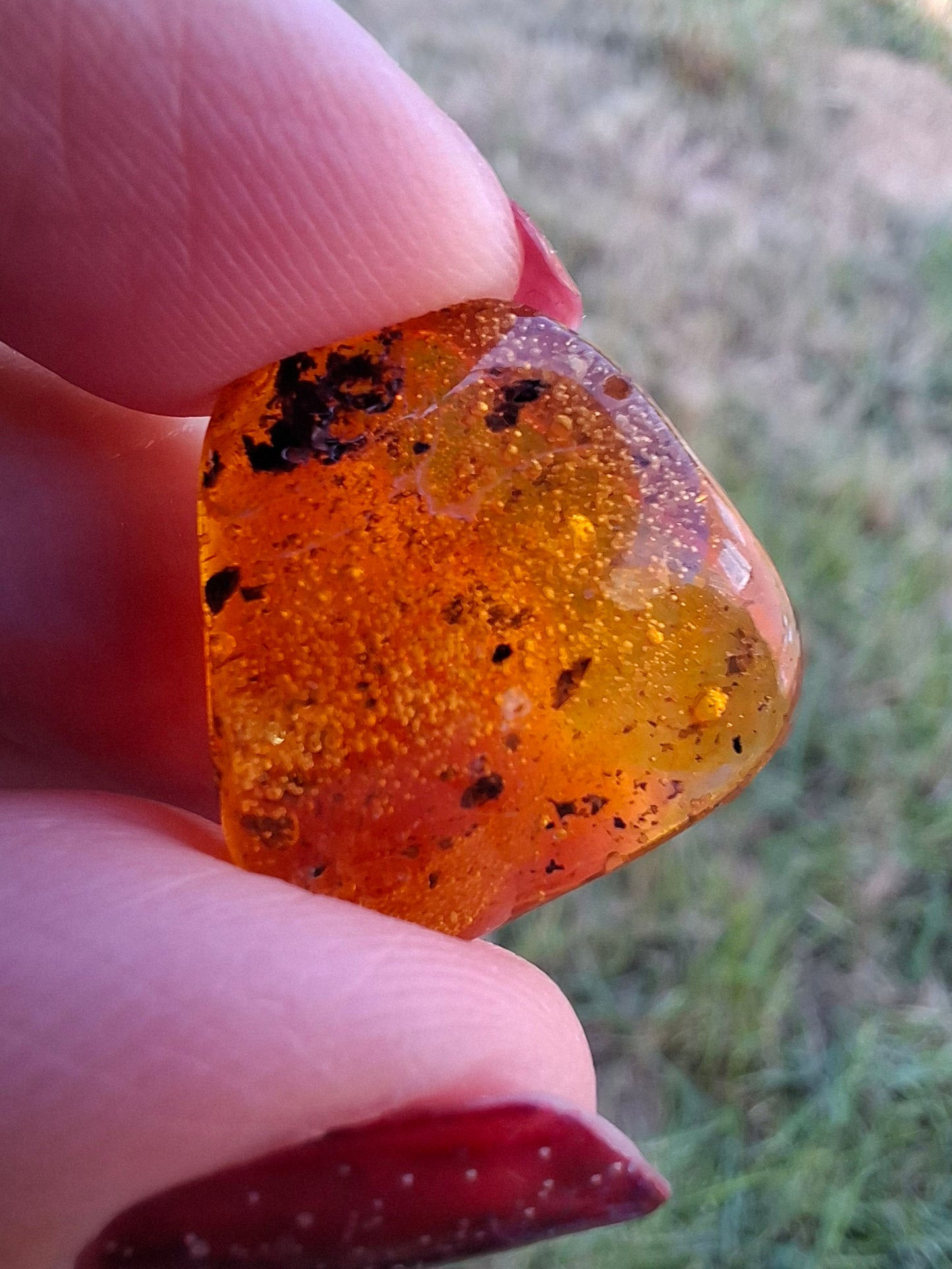 Baltic Amber, 1.59g, Fossil (Ref: A244)