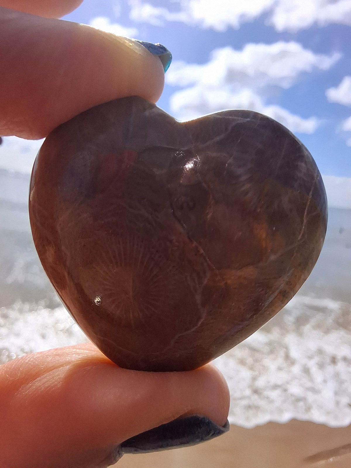 Fossil Coral Heart, (Ref:CoH1)