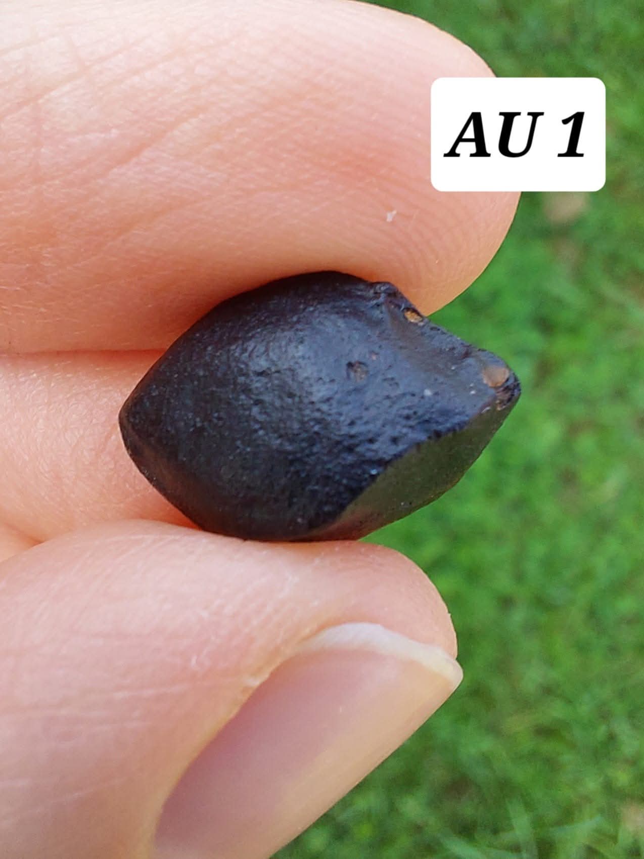Australite, 1.54g, Tektite (Ref: AU1)