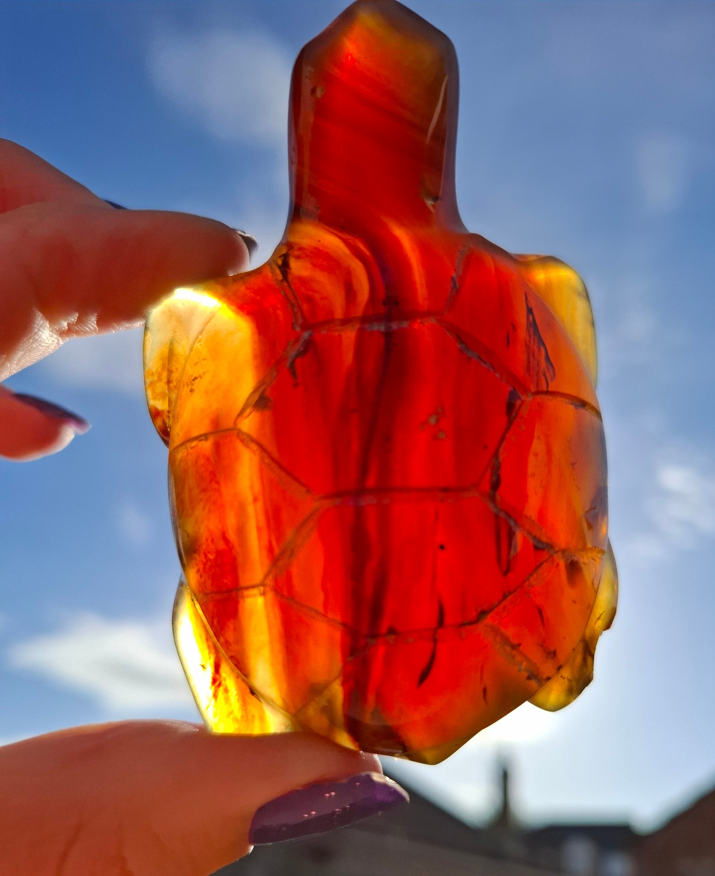 Red Amber Turtle, 49.15g, Carving, Fossil (Ref: TT1)