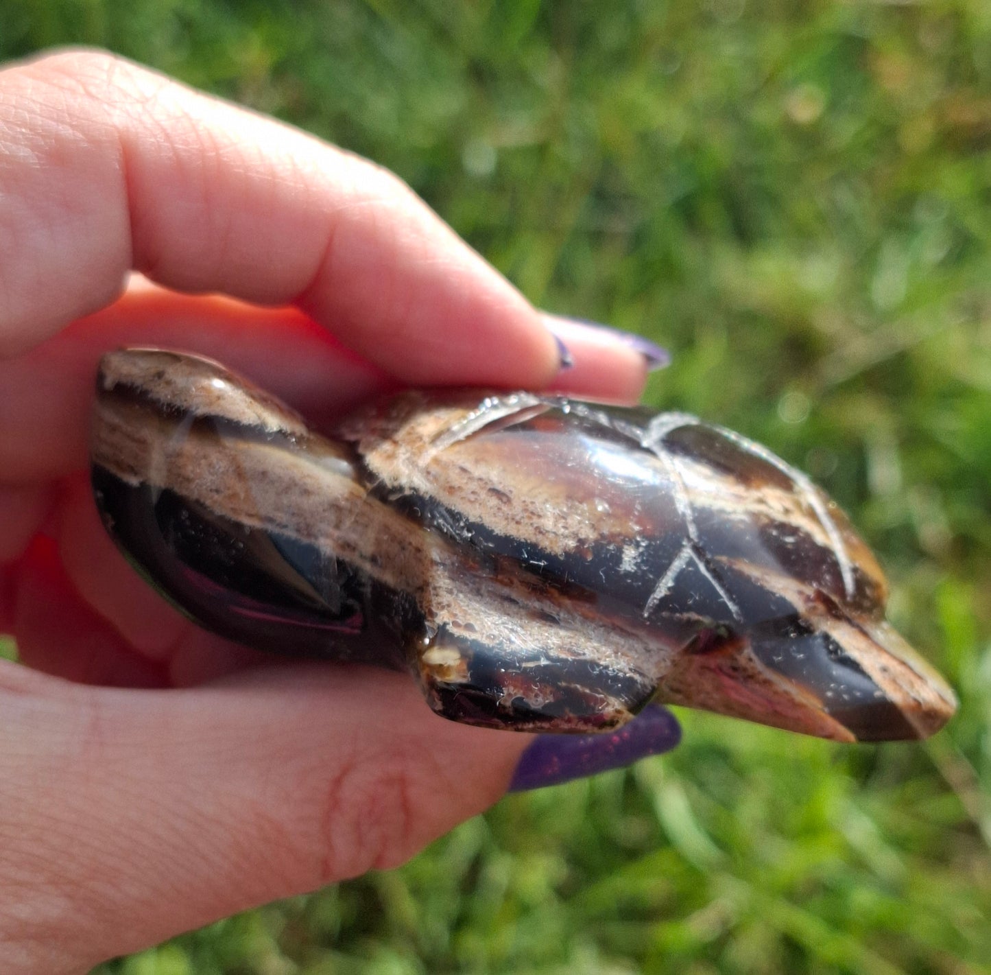 Red Amber Turtle, 56.87g, Carving, Fossil (Ref:TT7)