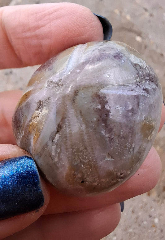 Polished Sea Urchin, Fossil (Ref: SU6)