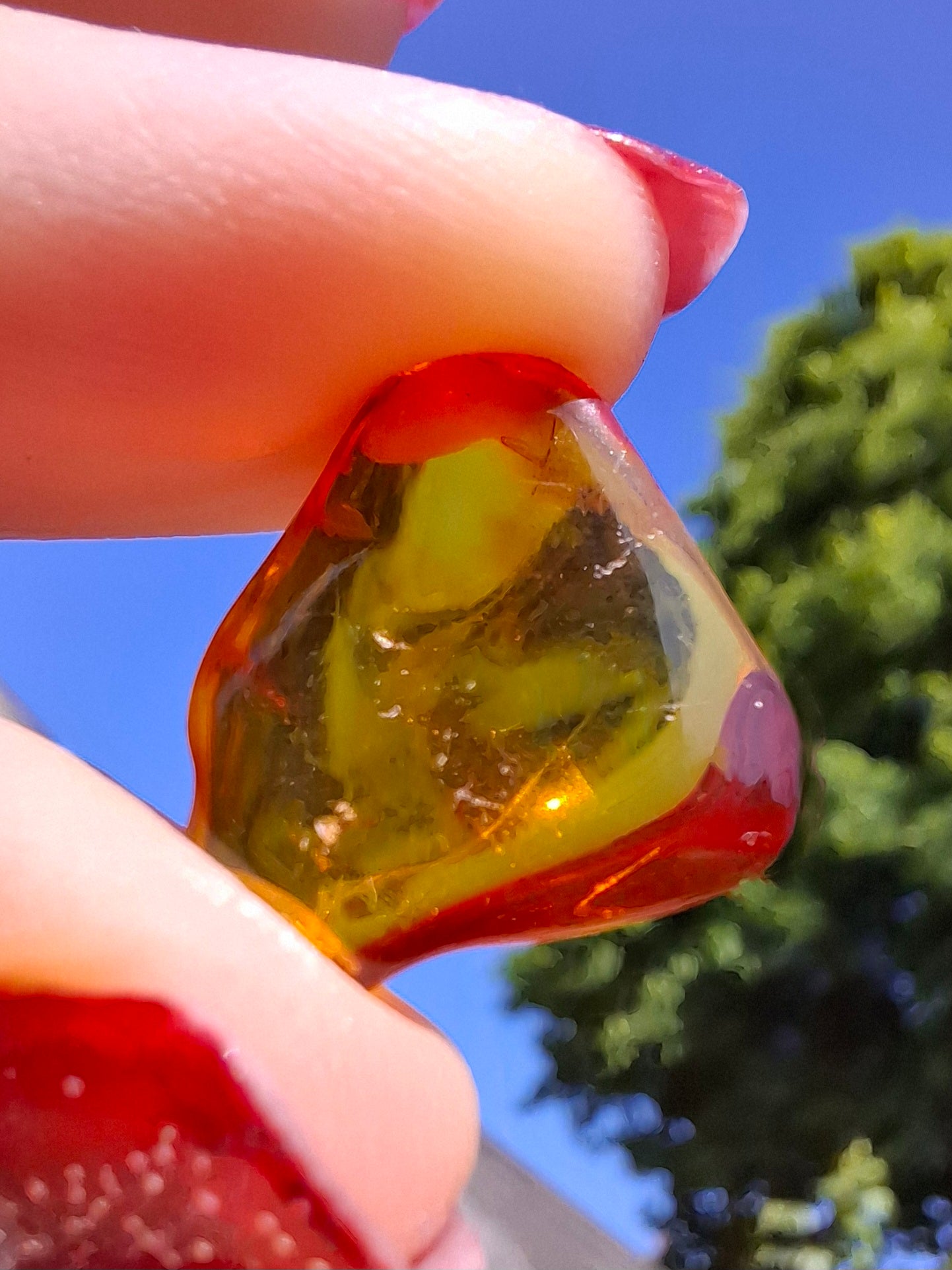 Baltic Amber, 0.88g, Fossil (Ref: A254)