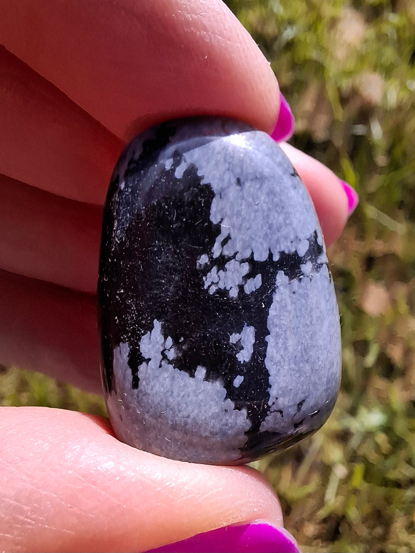 Snowflake Obsidian, Tumble Stone, Crystal (Ref: T99)