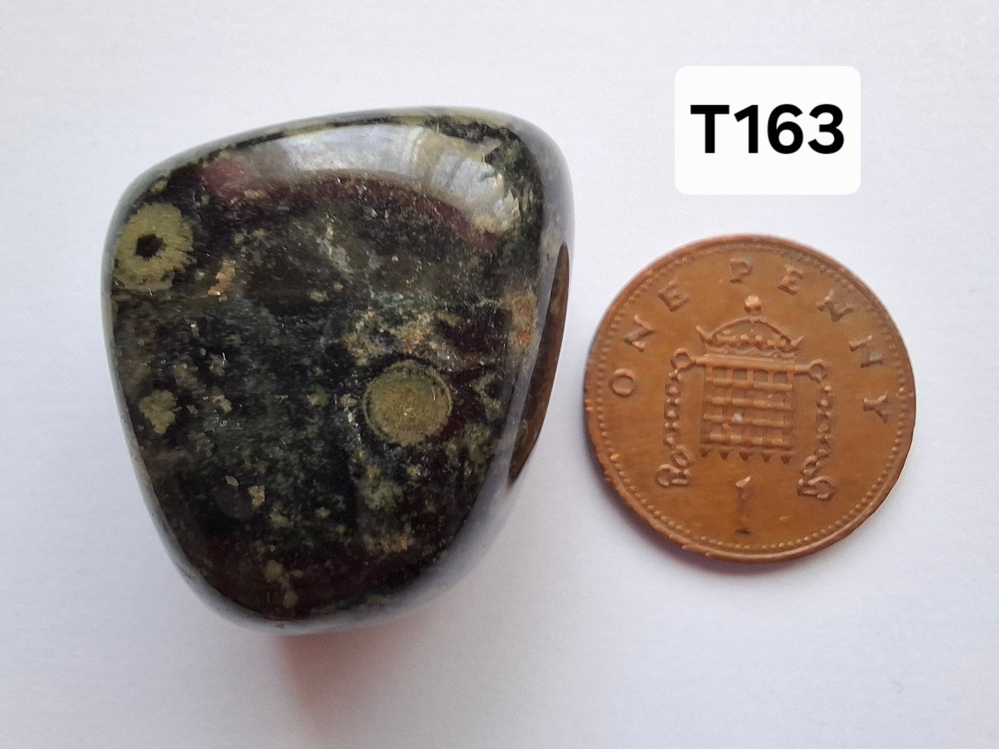 Kambaba Jasper, Tumble Stone, Crystal (Ref: T163)