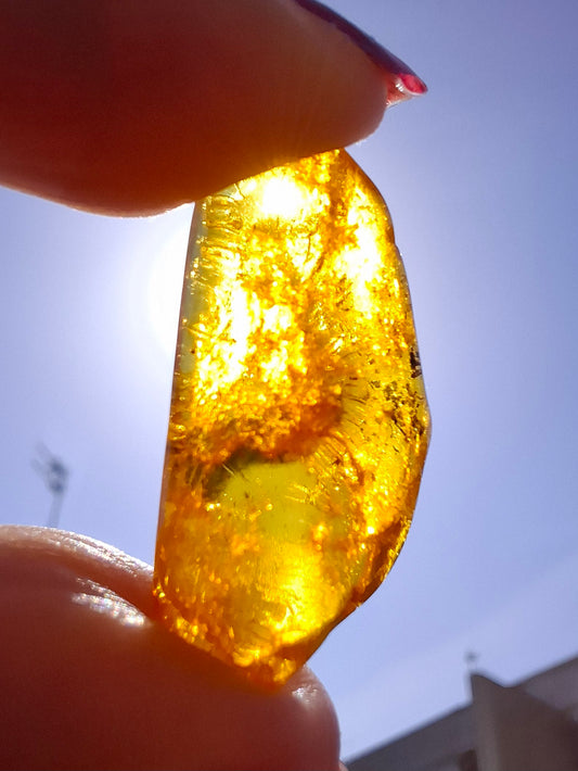 Baltic Amber, 1.39g, Fossil (Ref: A181)