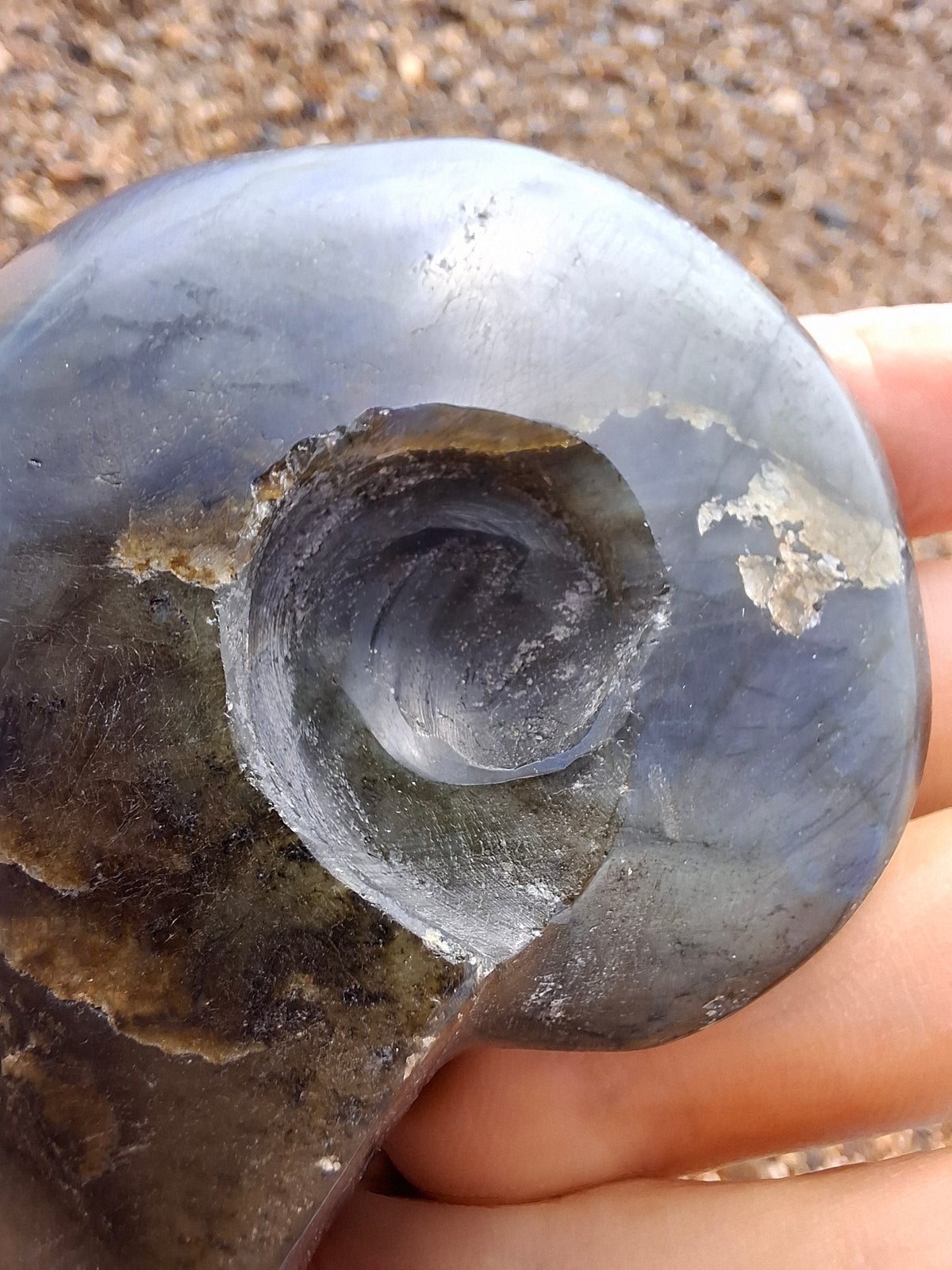 Labradorite Ammonite Carving, 146.90g, Crystal (Ref: laba5)