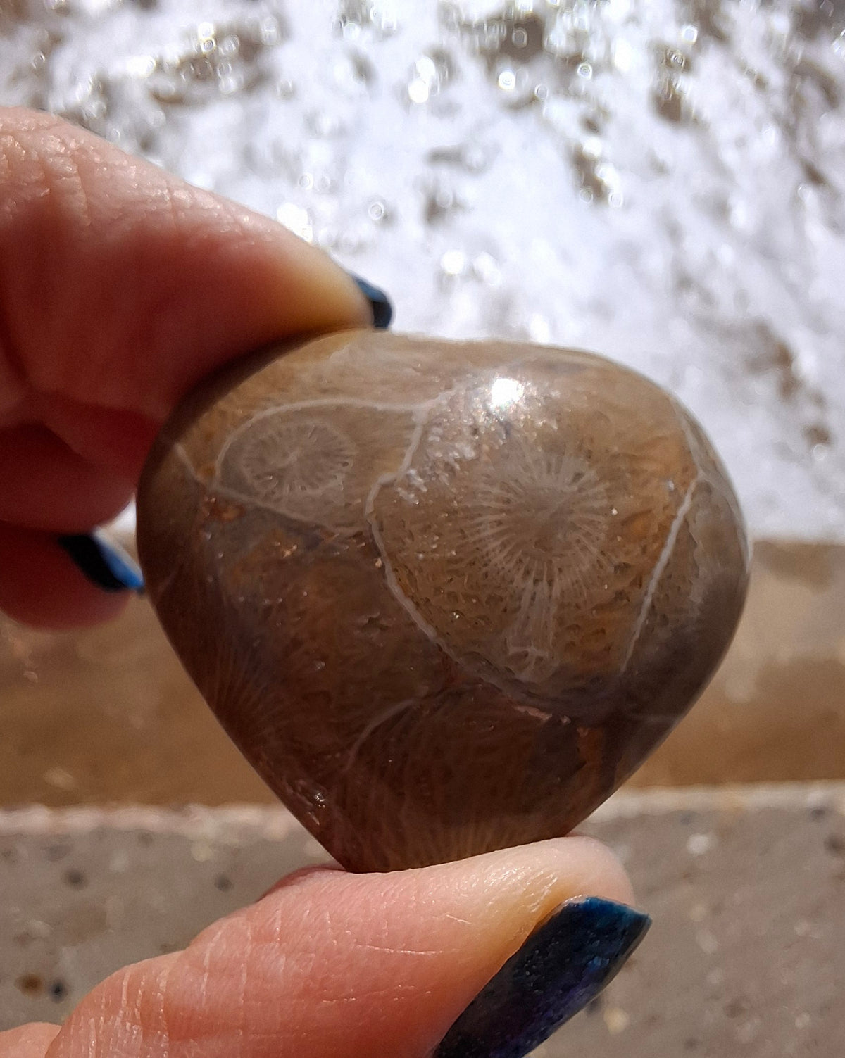 Fossil Coral Heart, (Ref: CoH2)