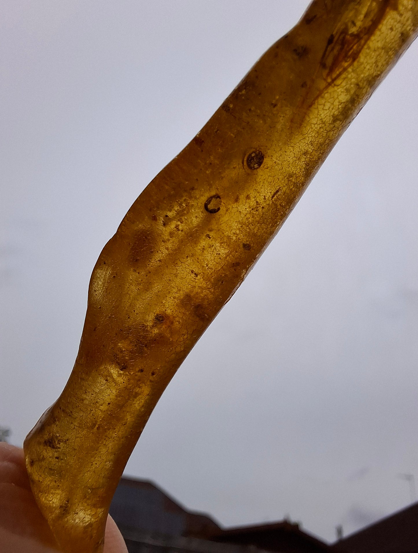 Copal Young Amber with INSECTS inside, 5.07g, Fossil (Ref: CA35)