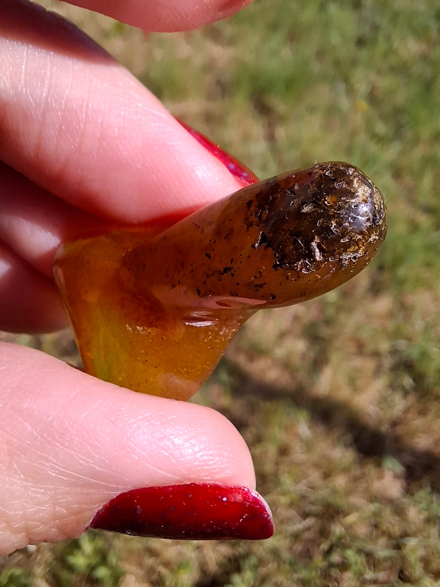 Baltic Amber, 3.17g, Fossil (Ref: A156)