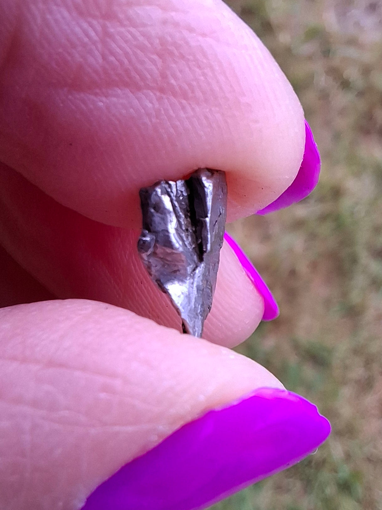 Campo del Cielo, 0.55g, Nickel Iron Meteorite (Ref: C3)